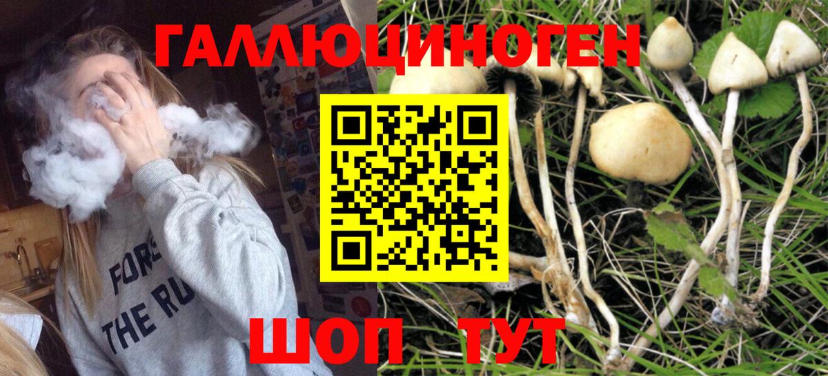 Галлюциногенные грибы Psilocybine cubensis  Вход с VPN  Галлюциногенные грибы прущие грибы  Туапсе 