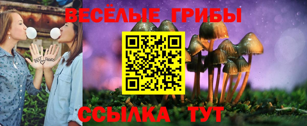 Галлюциногенные грибы Magic Shrooms Туапсе